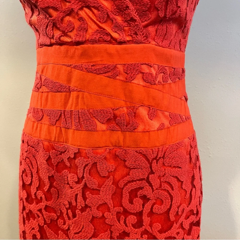 Tadashi Shoji excellent fully